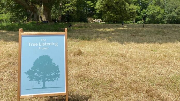 To the left of the image is a wooden sign with a poster hanging inside - the poster reads 'The Tree Listening Project'. The rest of the image is grass, with trees along the horizon.